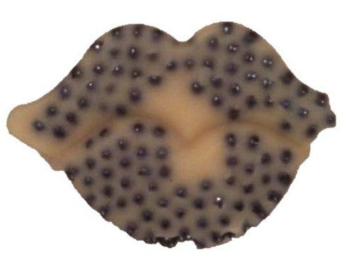 Black Kiss Massage Bar